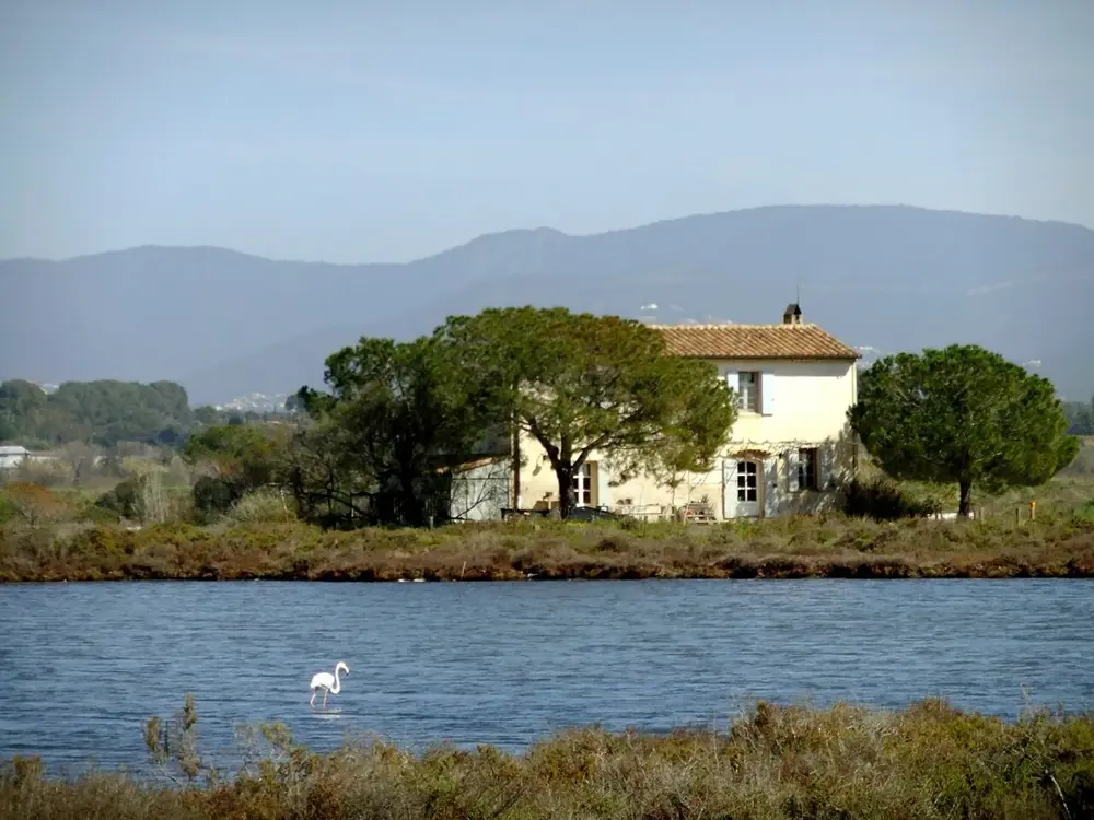 Hyères, Var, France - Les Vieux salins, maison