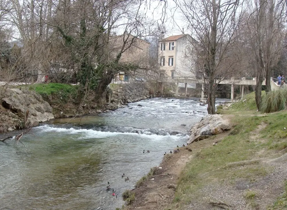 Caramy à Brignoles