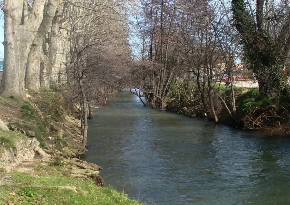 Caramy à Brignoles
