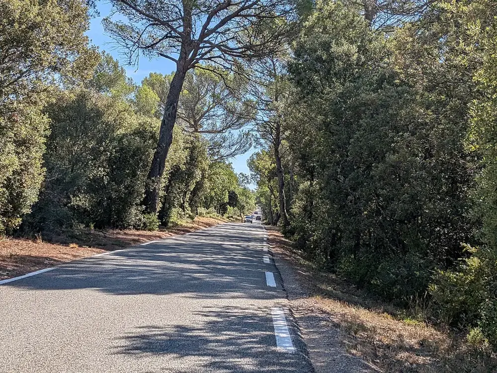 Ampus - Bois de Prannes traversé par la D51 (sept 2026)