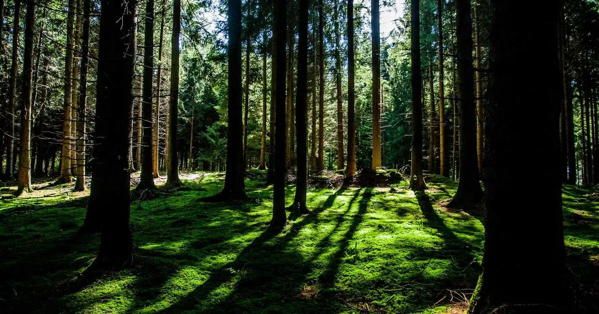 Zone d activités du plateau de signes : opportunités d’implantation d’entreprises dans le var en 2025